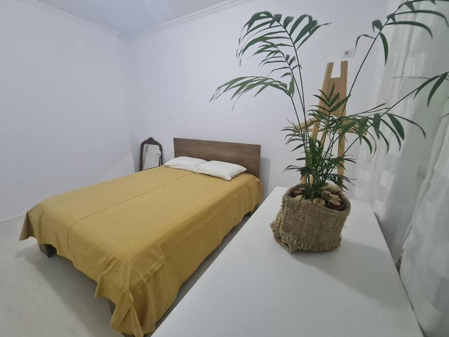 Appartement Cozy 16 - Pazariri D